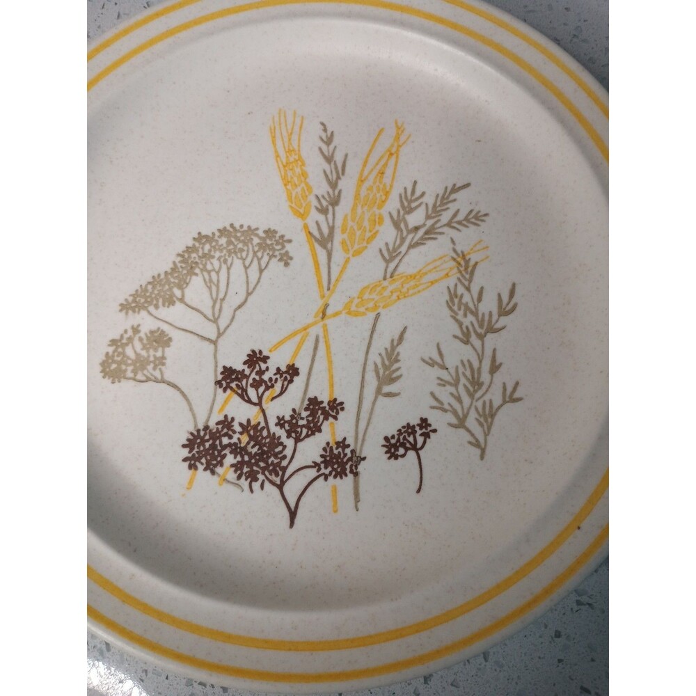 Vintage Royal China Co. Sebring Ohio Royalstone Naturally Dinner Plate Wheat 10" - Picture 2 of 4